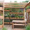 Outdoor herb kitchen